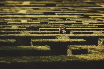 Klaudia i Grzegorz - Sesja Plenerowa