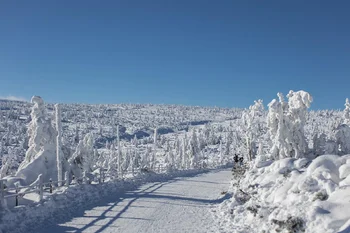 Sesja narzeczeńska w górach