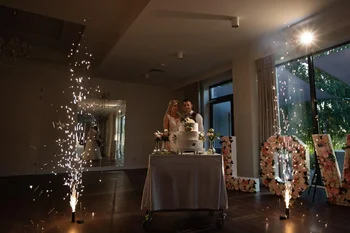 Olga i Michał - wesele w Arboretum