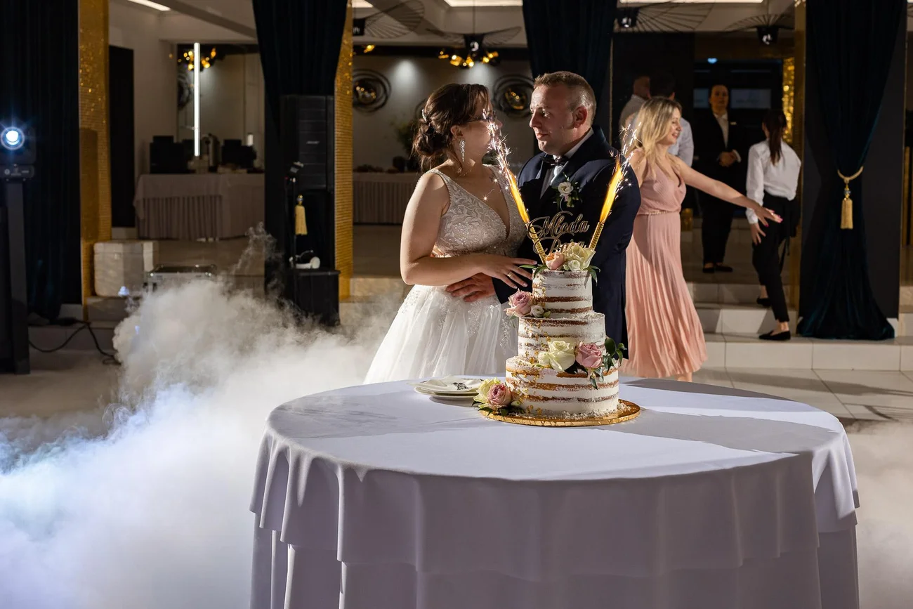 Magda i Dawid - wesele w Kalinowym Parku - Sosnowiec