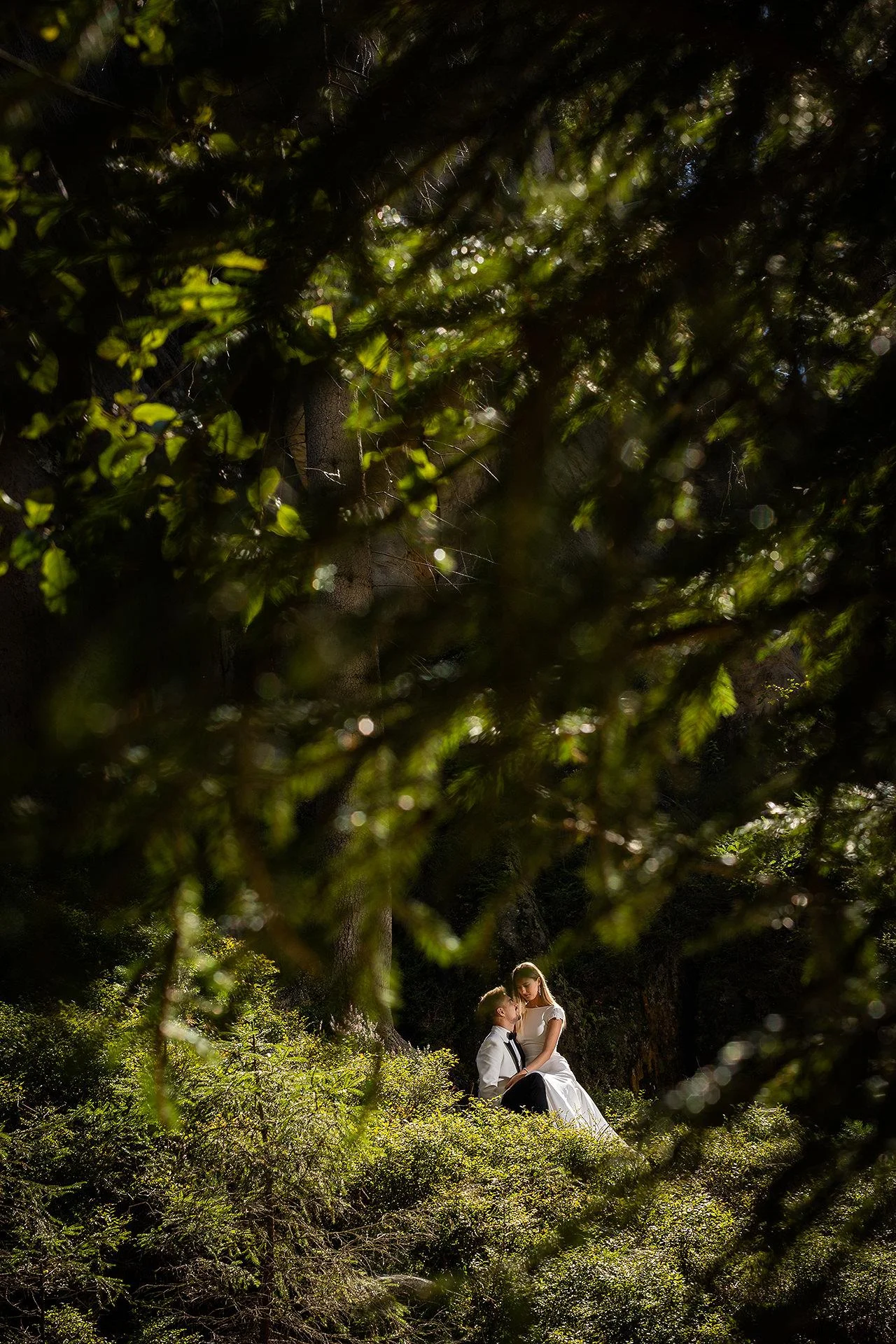 Sesja plenerowa w Czeskim Skalnym Mieście Adršpach - pamiątka na całe życie